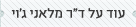 מידע על המרצה